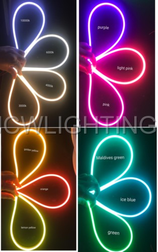  Newest style Flat mini outdoor silicon waterproof 12v/24V led neon flex rope light - copy